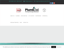Tablet Screenshot of plumbjet.com
